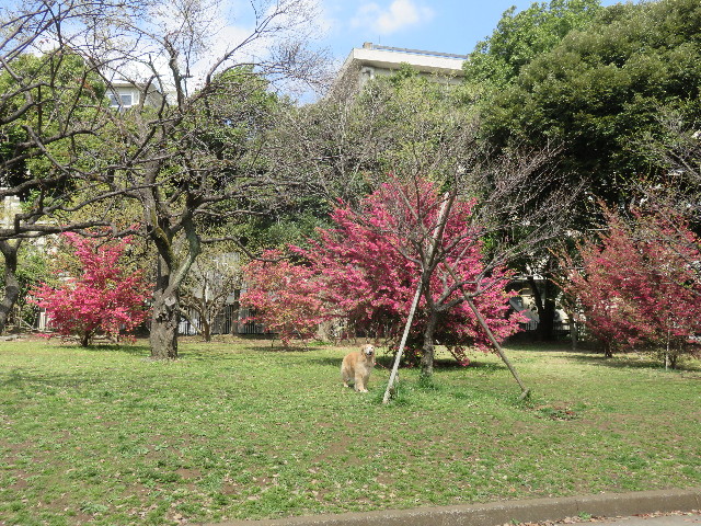 ファイル 4894-1.jpg