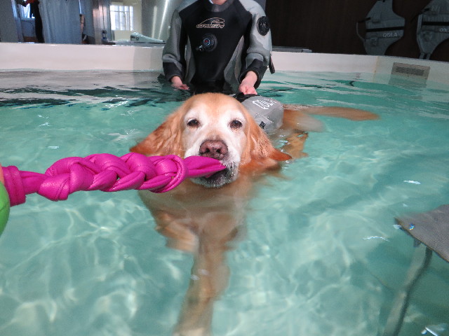 ファイル 4895-2.jpg