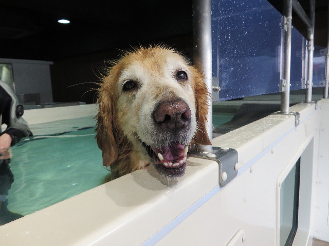 ファイル 4895-4.jpg