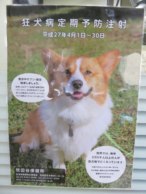 ファイル 4896-1.jpg