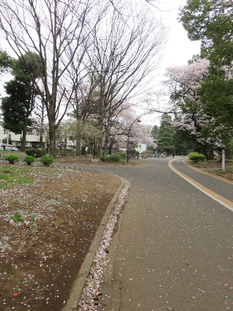 ファイル 4898-1.jpg