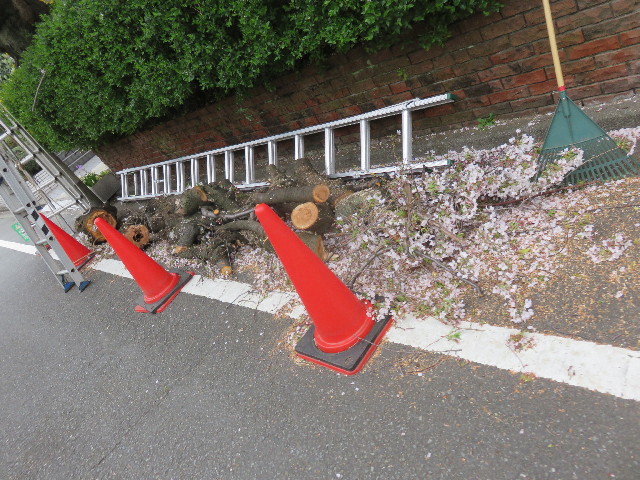 ファイル 4898-3.jpg