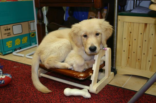 ファイル 49-1.jpg