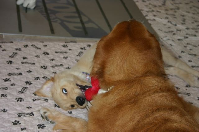 ファイル 49-3.jpg