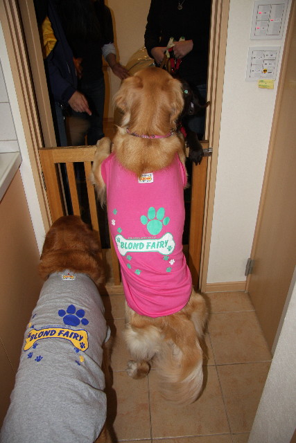 ファイル 490-1.jpg