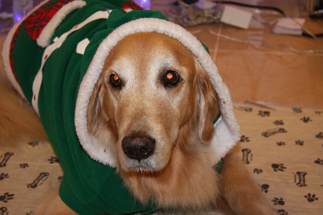 ファイル 490-2.jpg