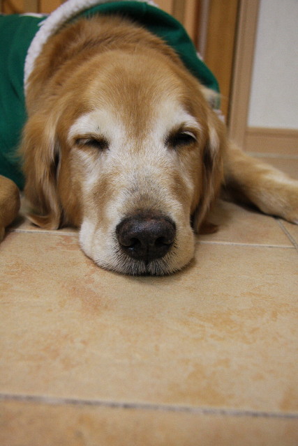 ファイル 490-3.jpg