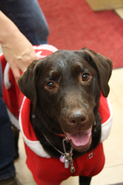 ファイル 490-5.jpg