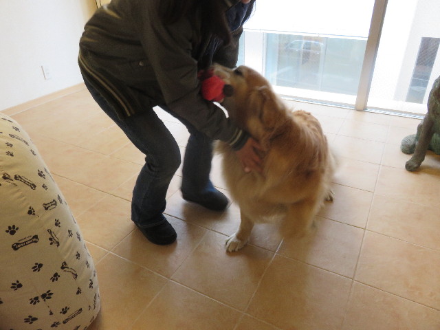 ファイル 4902-1.jpg