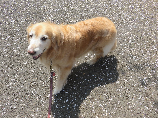 ファイル 4903-3.jpg