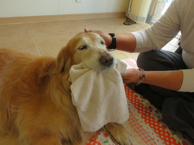 ファイル 4904-2.jpg