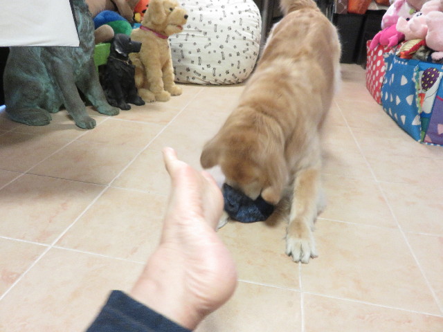 ファイル 4905-2.jpg