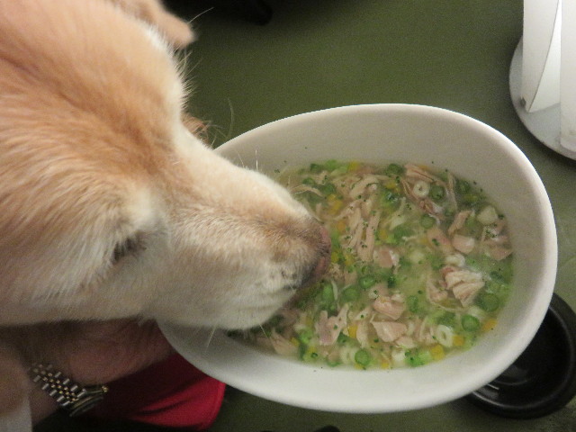 ファイル 4907-5.jpg