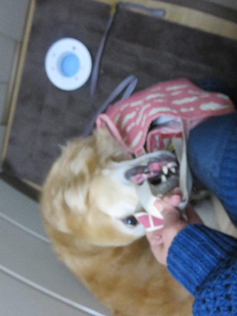 ファイル 4908-3.jpg