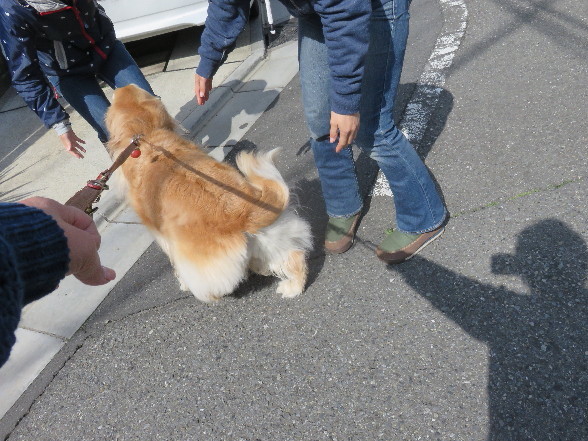 ファイル 4908-4.jpg