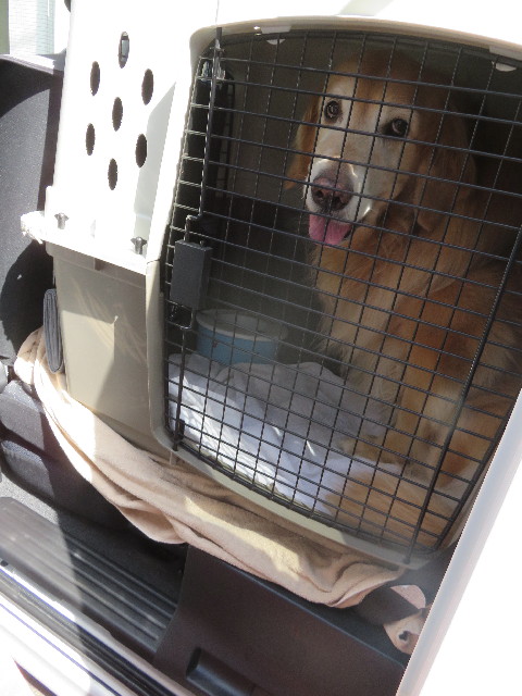 ファイル 4908-5.jpg