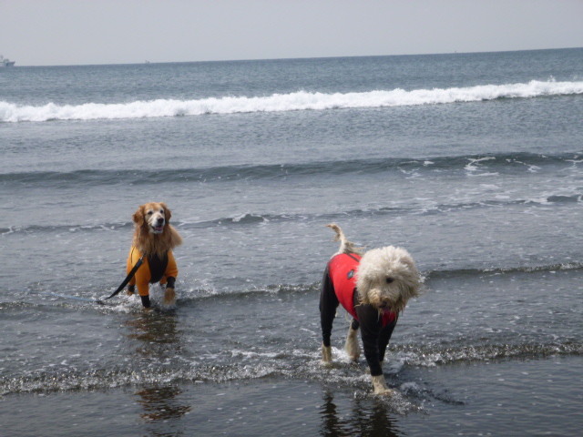 ファイル 4909-1.jpg