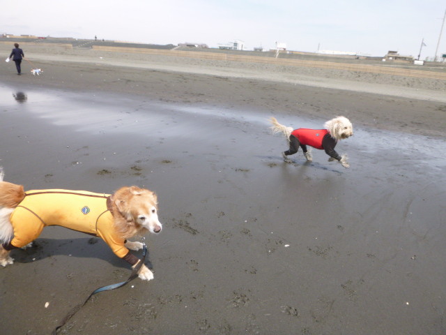 ファイル 4909-3.jpg