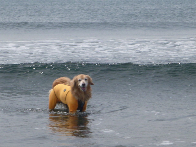 ファイル 4909-5.jpg