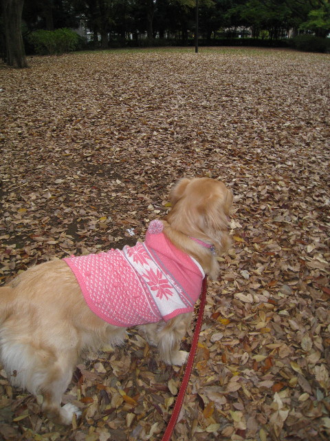 ファイル 491-2.jpg