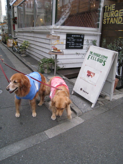 ファイル 491-3.jpg