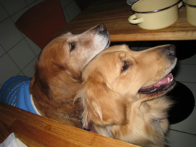 ファイル 491-4.jpg