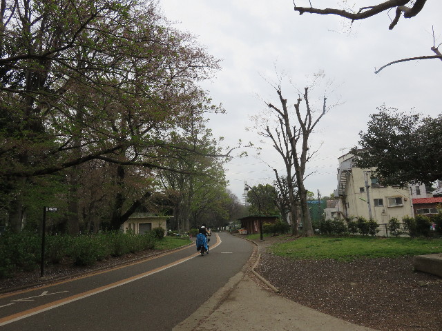 ファイル 4910-2.jpg