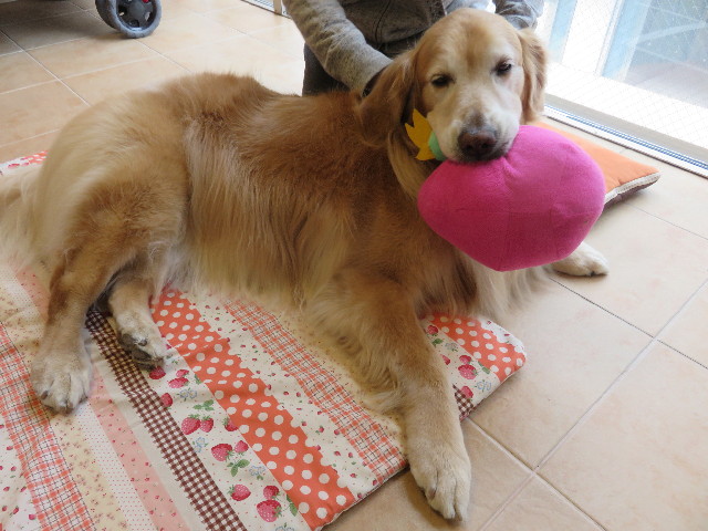 ファイル 4910-4.jpg