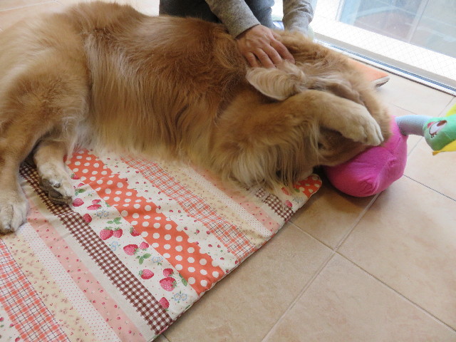 ファイル 4910-5.jpg