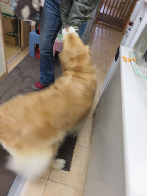 ファイル 4911-1.jpg