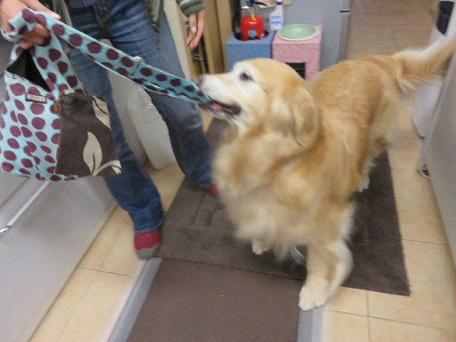 ファイル 4911-2.jpg