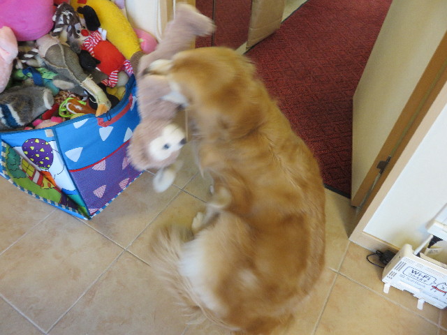 ファイル 4911-4.jpg