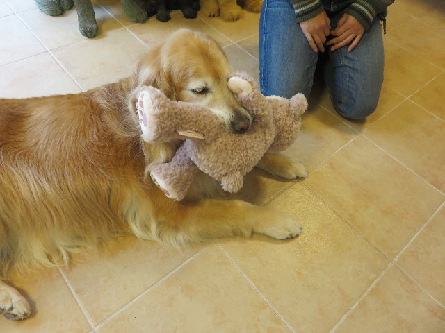 ファイル 4911-5.jpg