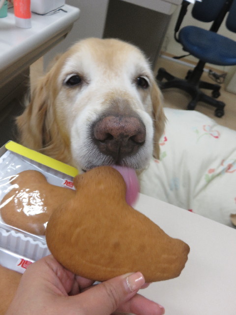 ファイル 4914-5.jpg