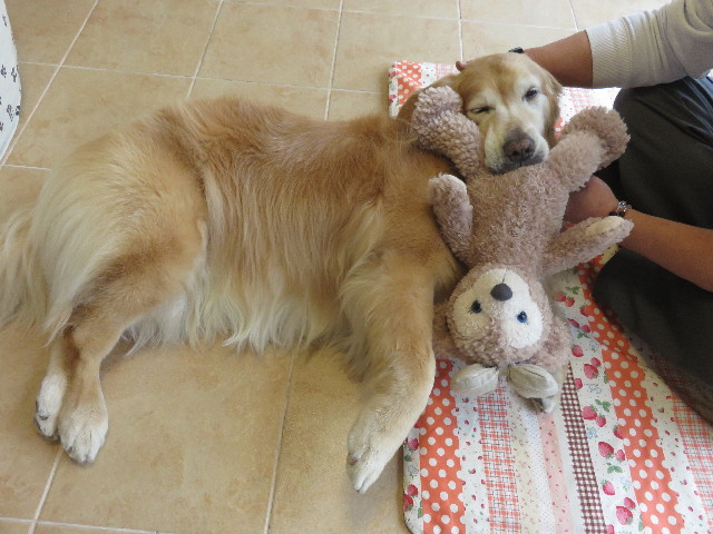 ファイル 4915-4.jpg