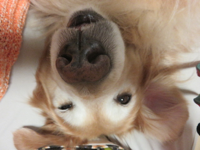 ファイル 4915-5.jpg