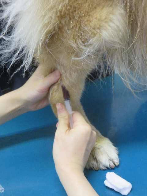 ファイル 4916-2.jpg