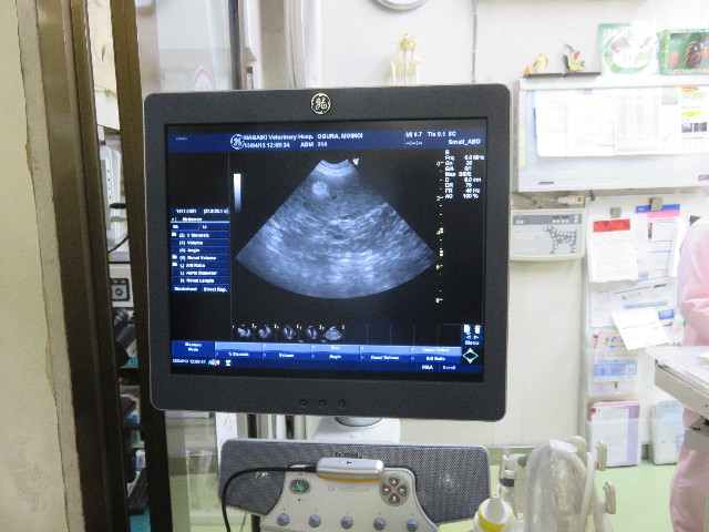 ファイル 4916-4.jpg