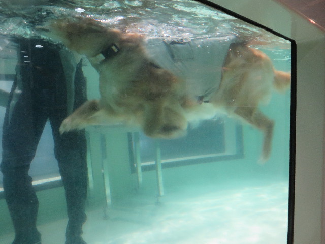 ファイル 4917-3.jpg