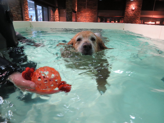 ファイル 4917-4.jpg