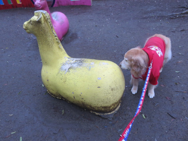 ファイル 4918-3.jpg