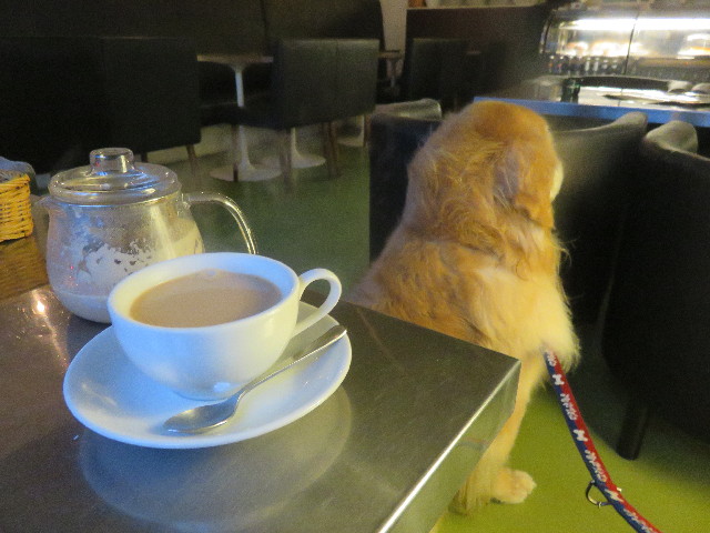 ファイル 4918-5.jpg