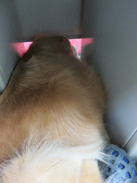 ファイル 4919-3.jpg