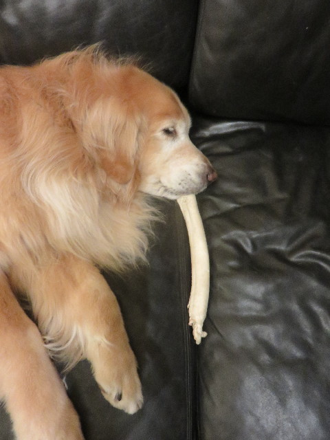 ファイル 4919-5.jpg