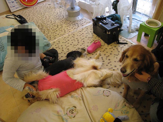 ファイル 492-2.jpg