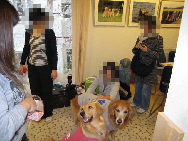 ファイル 492-3.jpg