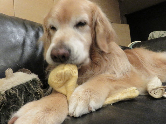 ファイル 4920-2.jpg