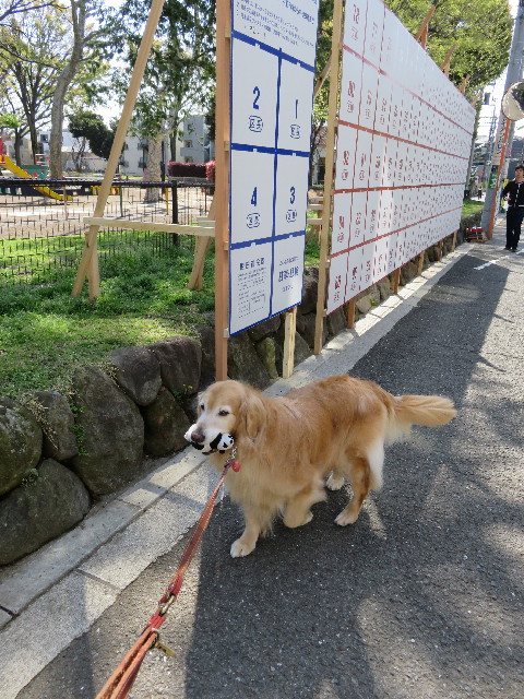 ファイル 4920-3.jpg