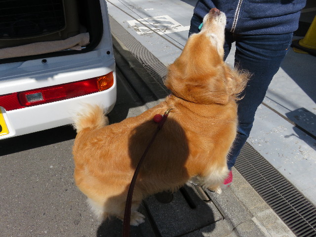 ファイル 4920-4.jpg