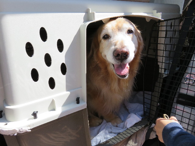 ファイル 4920-5.jpg